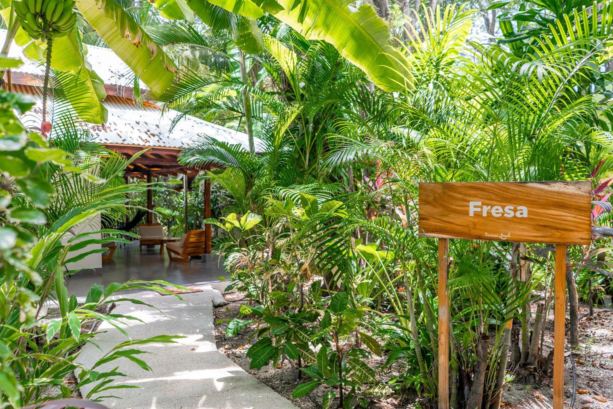 Banana Beach Bungalows Playa Santa Teresa  Εξωτερικό φωτογραφία